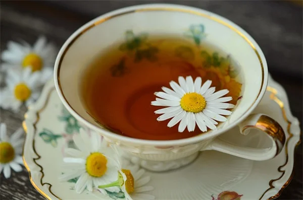 茶色くなったバナナを庭で活用する3つの方法