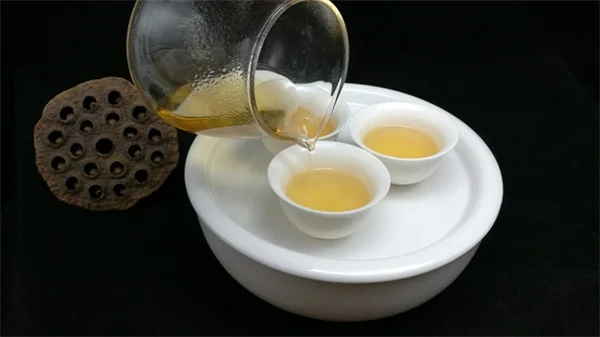 コーヒーかすでアジサイは青くなる？実際に試した効果と真実